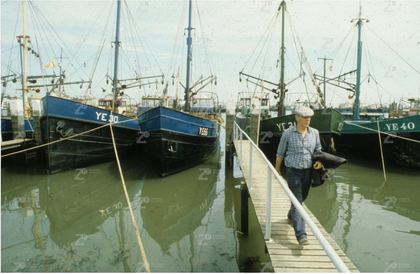 Vissersschepen in de haven van Yerseke (YE-30, YE-66, YE-31, YE-40)