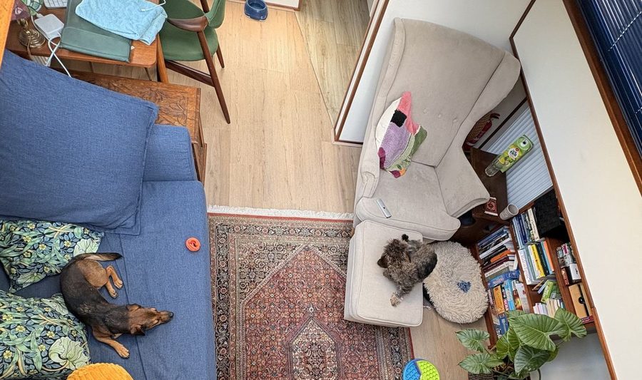 Woonkamer aan boord met slapende hond op de bank